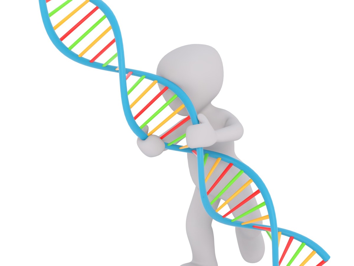 DNA and ancestry: Who are we? (Part&nbsp;1)