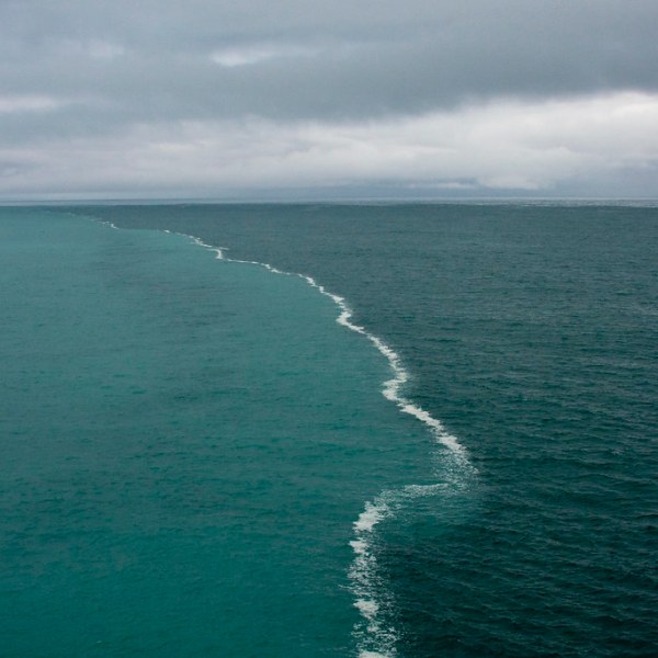 Non-dualism and logic